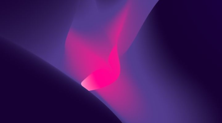 Our Learing Platform: Fundamentals DEMO-EN